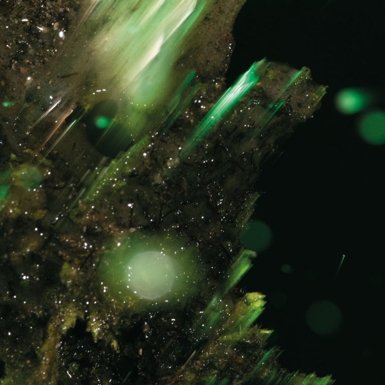 The Weekly Injection: New Releases From REVOCATION, AMORPHIS & More Out This Week 9/26